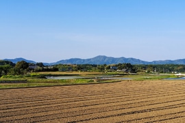 農地転用の手続き
